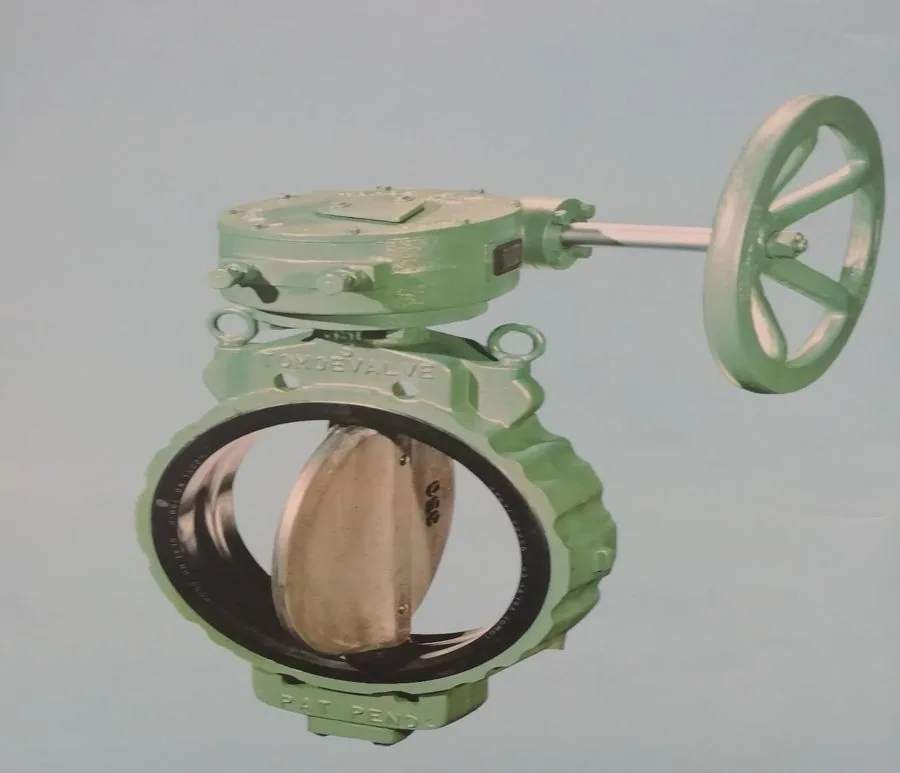 Butterfly valve supplied by Gasontex